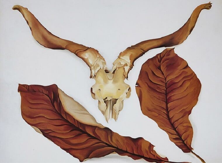 Ram's Skull with Brown Leaves, by Georgia OKeeffe