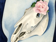 Horse's Skull with Pink Roseby Georgia O'Keeffe