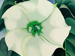 Jimson Weed/White Flower No. 1 by Georgia O'Keeffe