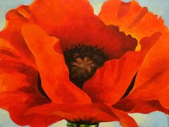 Red Poppy by Georgia O'Keeffe
