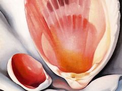 The Broken Shell, Pink by Georgia O'Keeffe