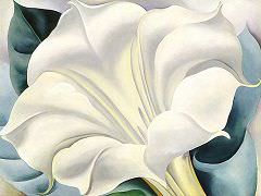 The White Flower by Georgia O'Keeffe