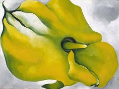 Yellow Calla by Georgia O'Keeffe