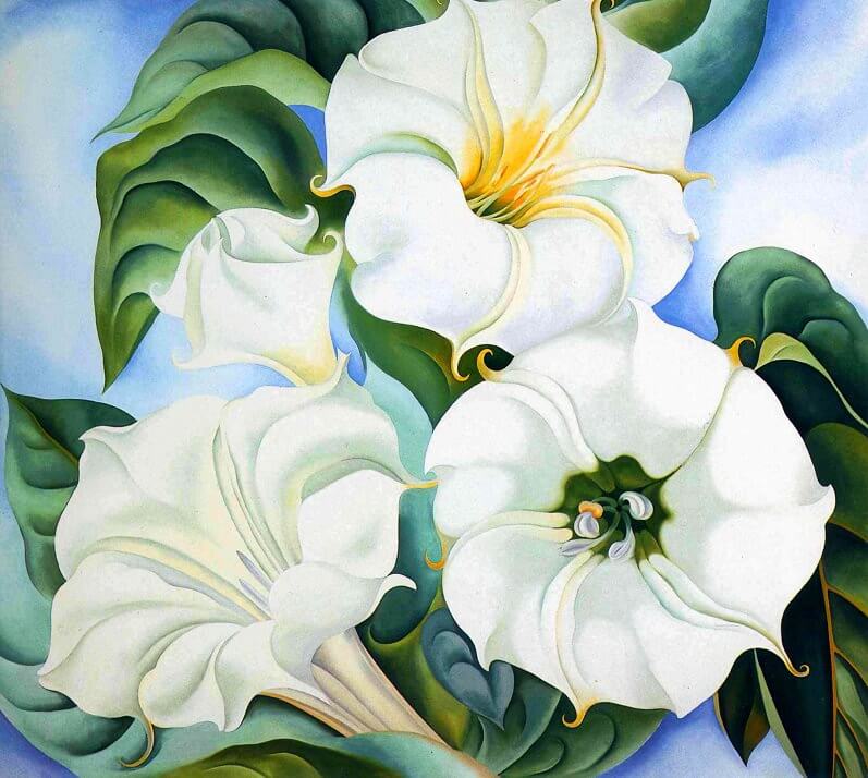 Jimson Weed, 1936 by Georgia O'Keeffe