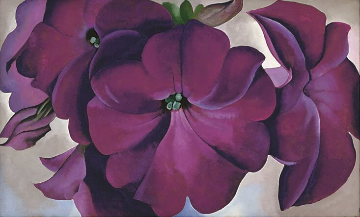 Petunias, 1924 by Georgia OKeeffe Petunias, 1924 by Georgia OKeeffe