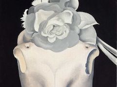 Horse's Skull with White Rose by Georgia O'Keeffe