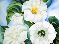 Jimson Weed by Georgia O'Keeffe