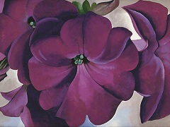 Petunias by Georgia O'Keeffe